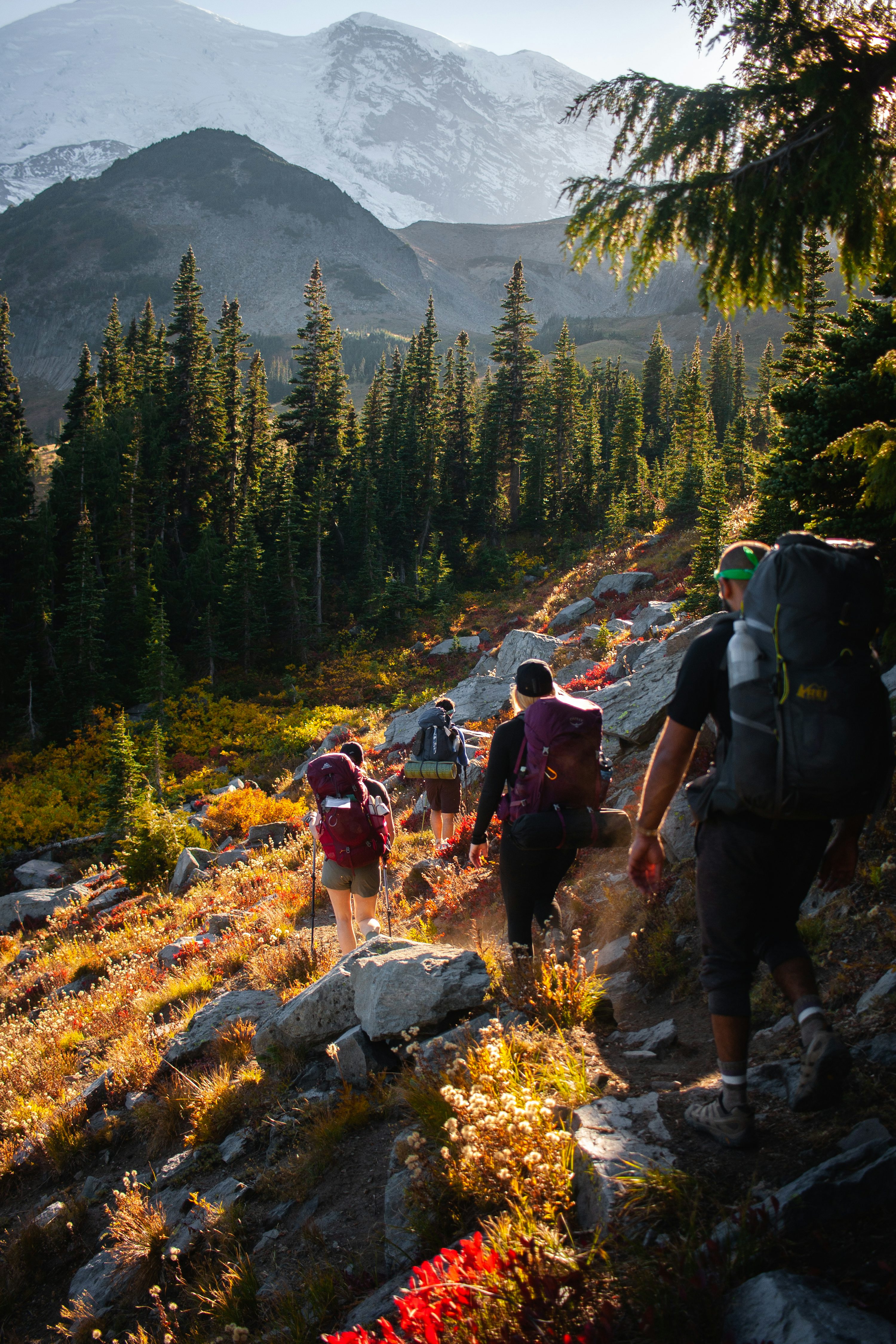 People hiking together on a mountain trail